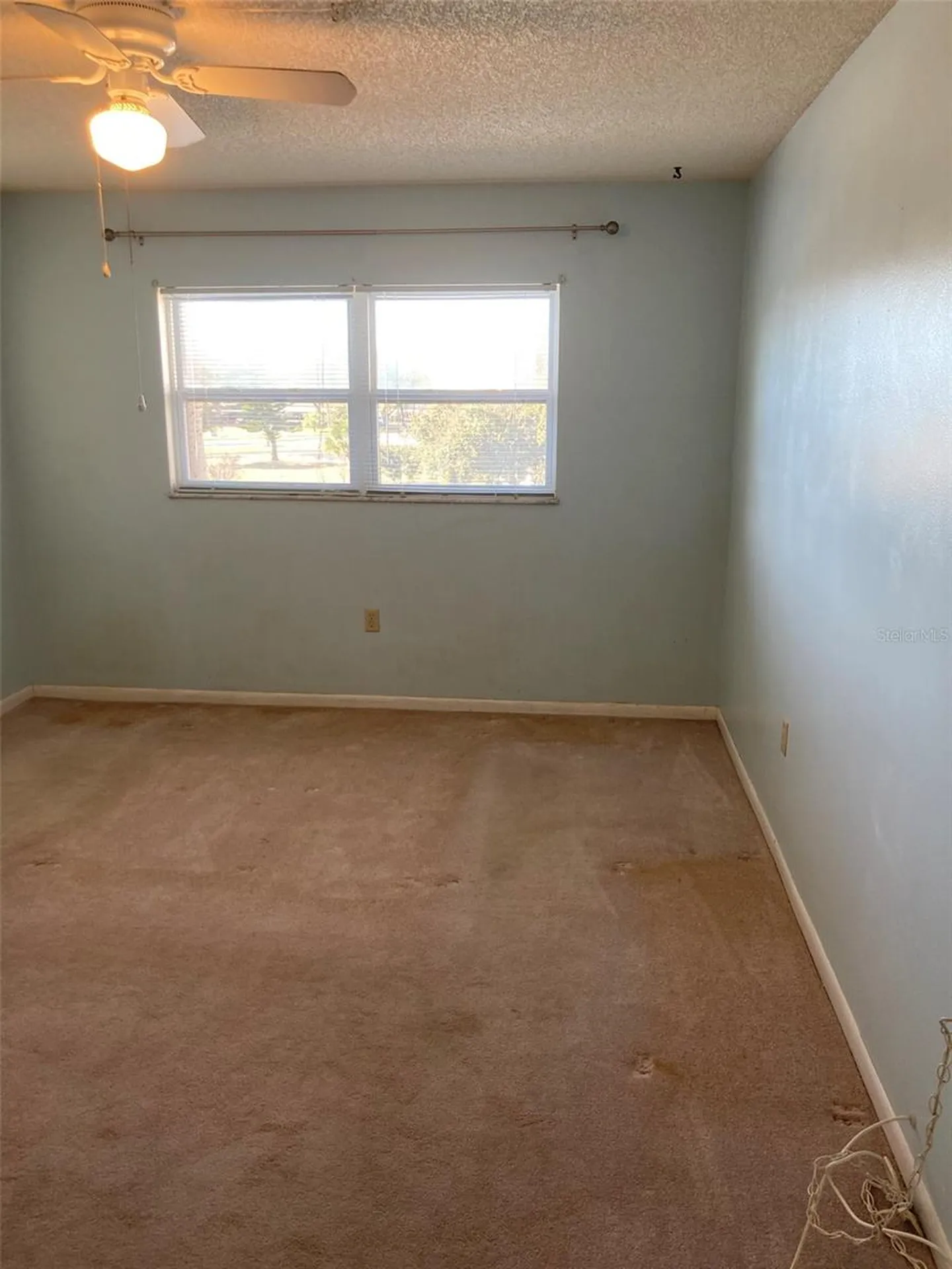 5725 80th Street N St Petersburg FL 33709