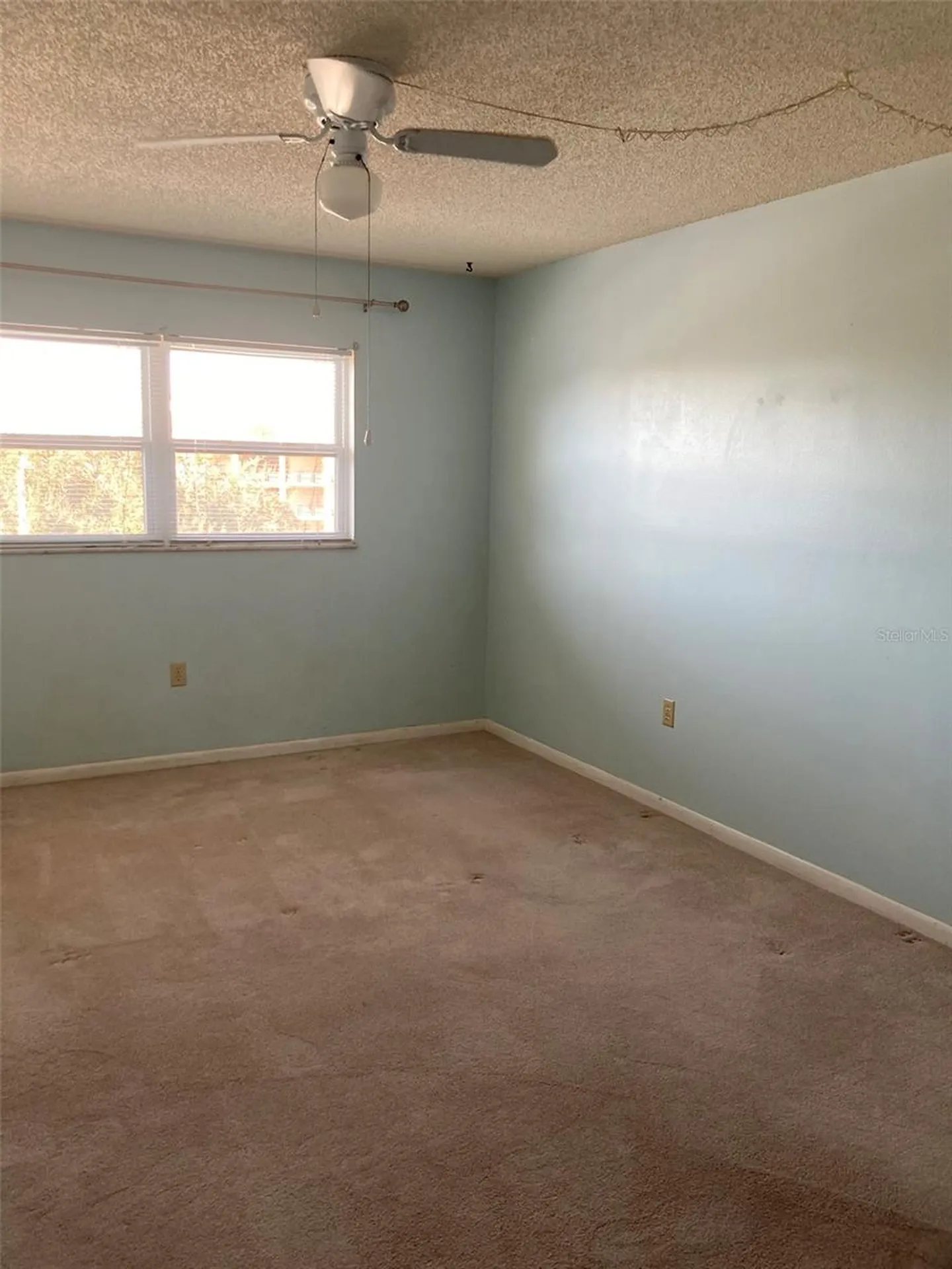 5725 80th Street N St Petersburg FL 33709