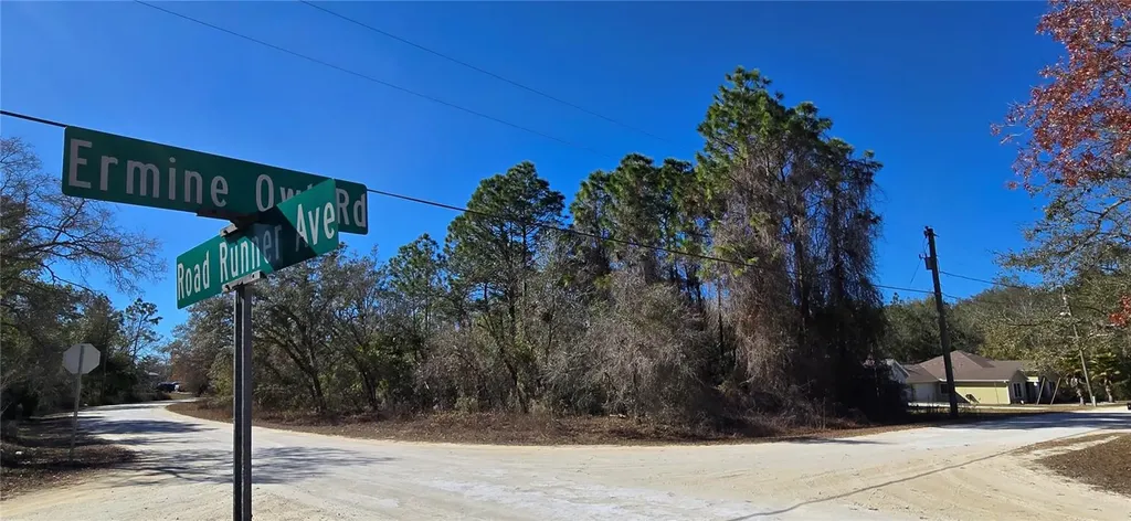 13231 Road Runner Avenue Weeki Wachee FL 34614