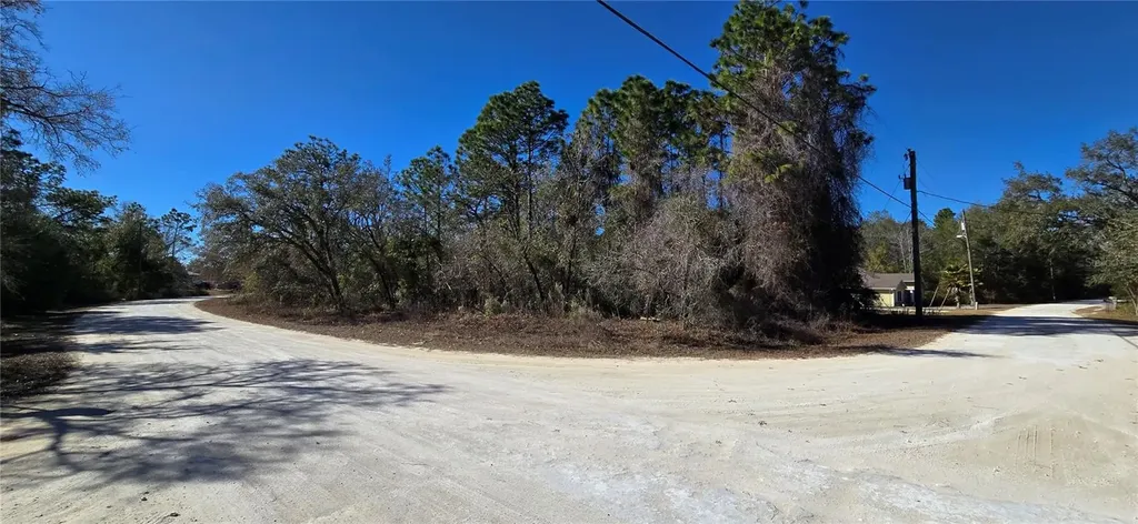 13231 Road Runner Avenue Weeki Wachee FL 34614