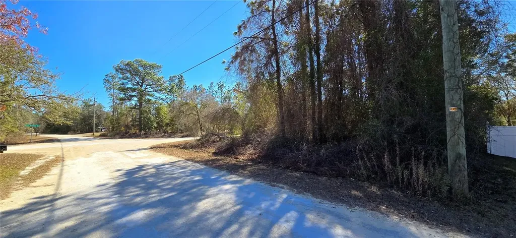 13231 Road Runner Avenue Weeki Wachee FL 34614