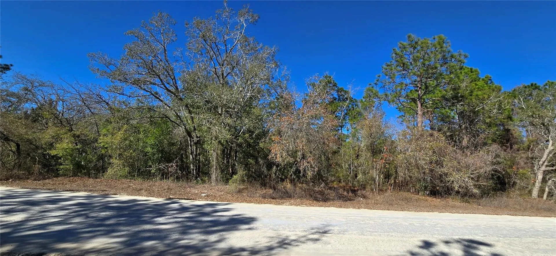13231 Road Runner Avenue Weeki Wachee FL 34614