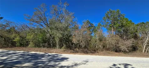 13231 Road Runner Avenue Weeki Wachee FL 34614