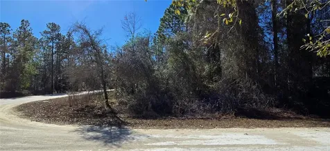 13231 Road Runner Avenue Weeki Wachee FL 34614