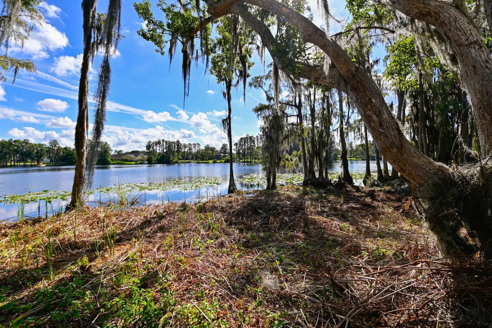 109 Bellamere Palms Court Lutz FL 33549