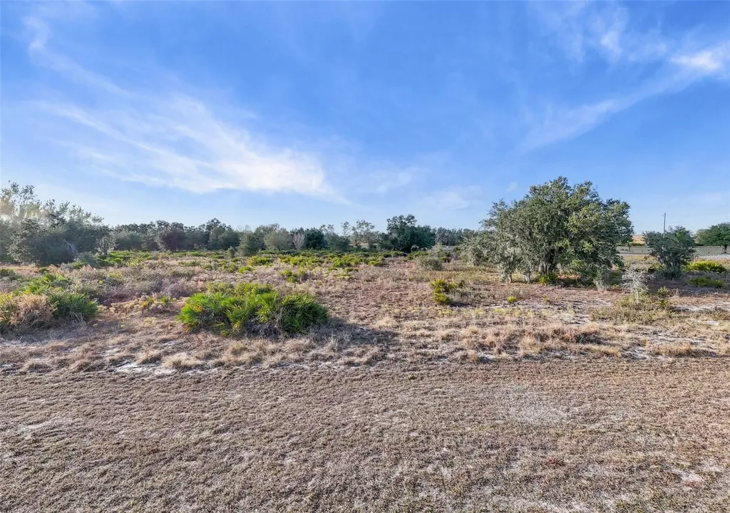 40710 11th Avenue E Myakka City FL 34251