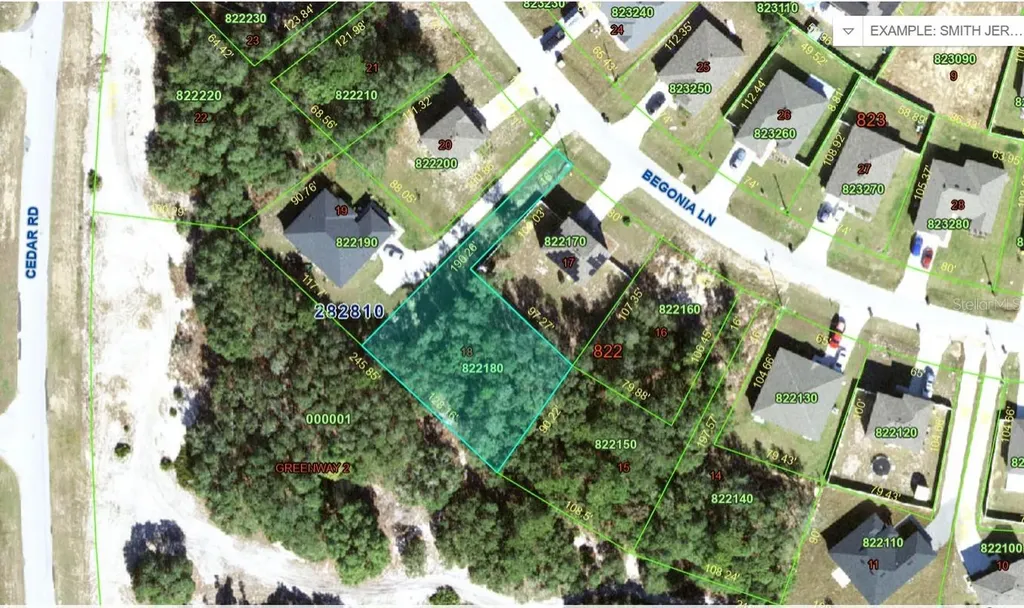 224 Begonia Lane Kissimmee FL 34759
