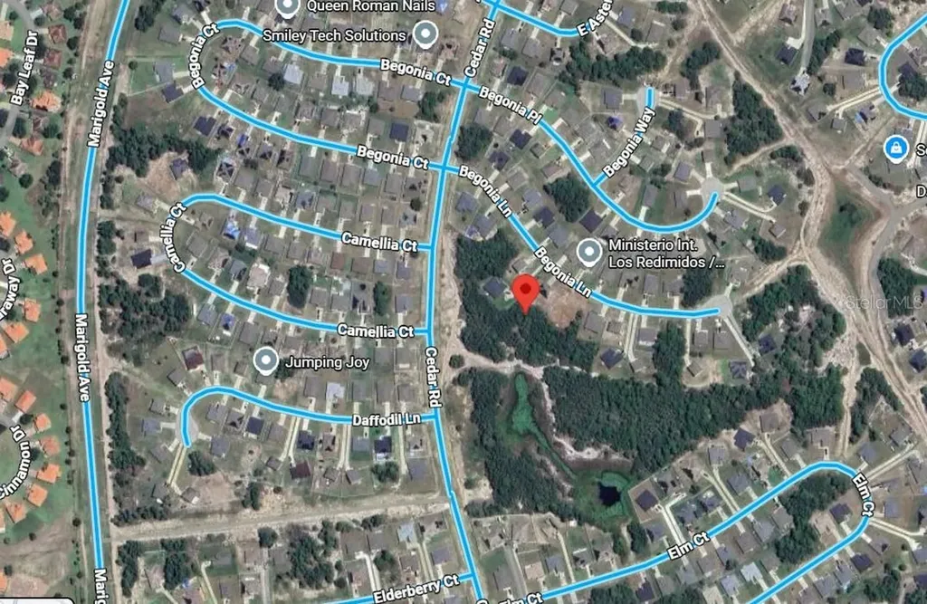 224 Begonia Lane Kissimmee FL 34759