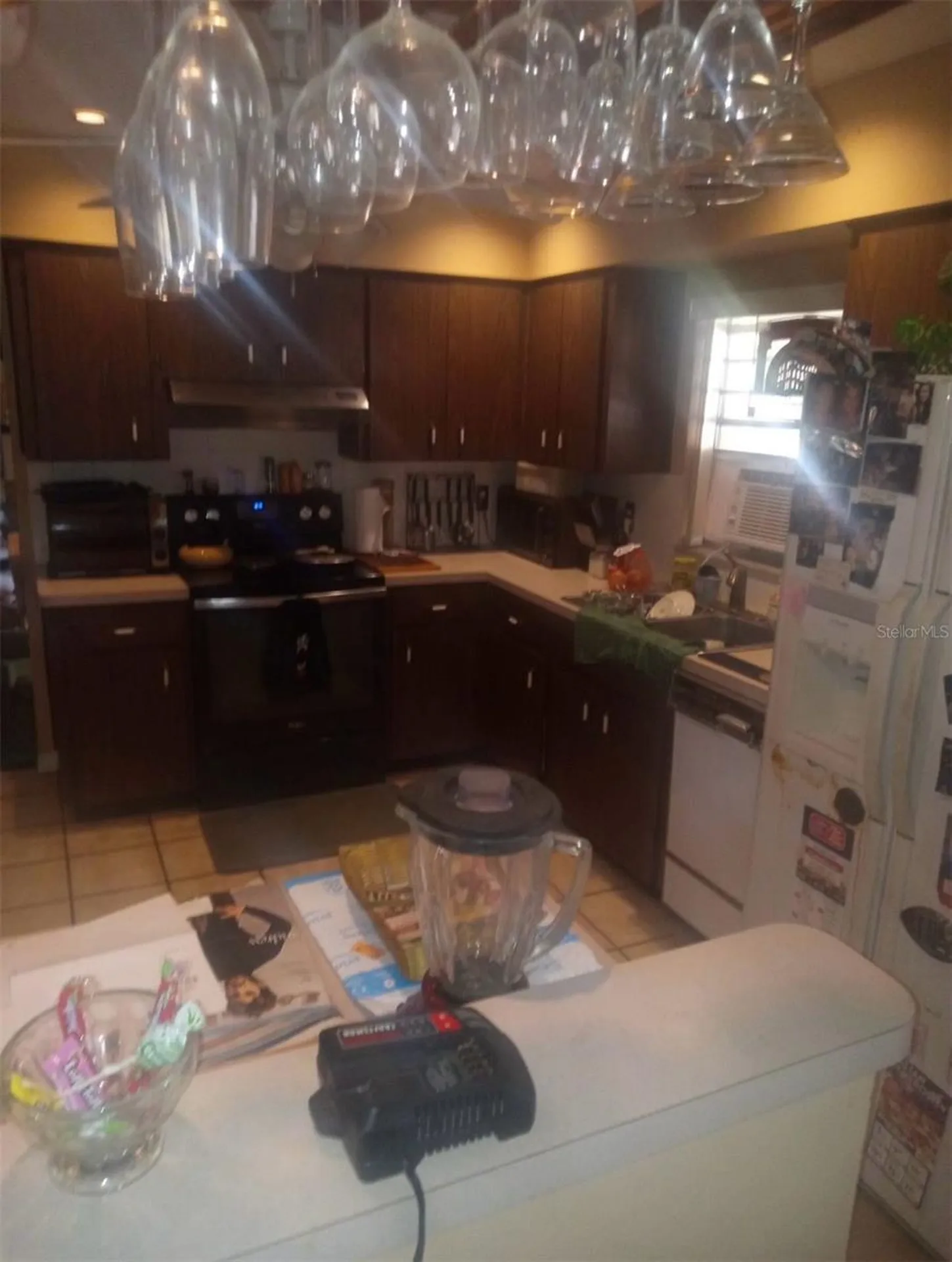 528 Lantern Circle Temple Terrace FL 33617
