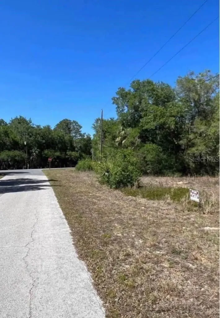 12405 N Goldie Point Dunnellon FL 34433