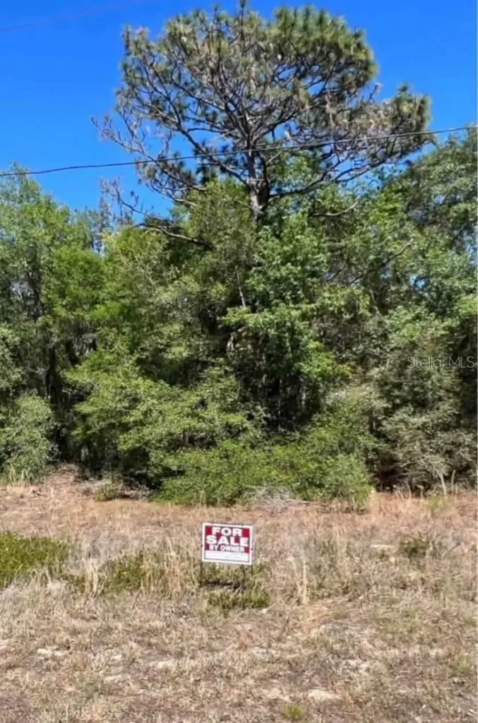 12405 N Goldie Point Dunnellon FL 34433
