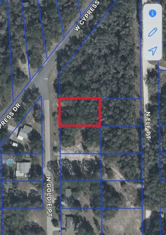 12405 N Goldie Point Dunnellon FL 34433