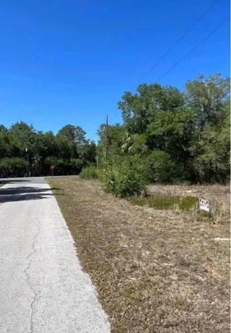 12405 N Goldie Point Dunnellon FL 34433