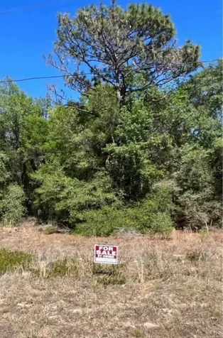 12405 N Goldie Point Dunnellon FL 34433