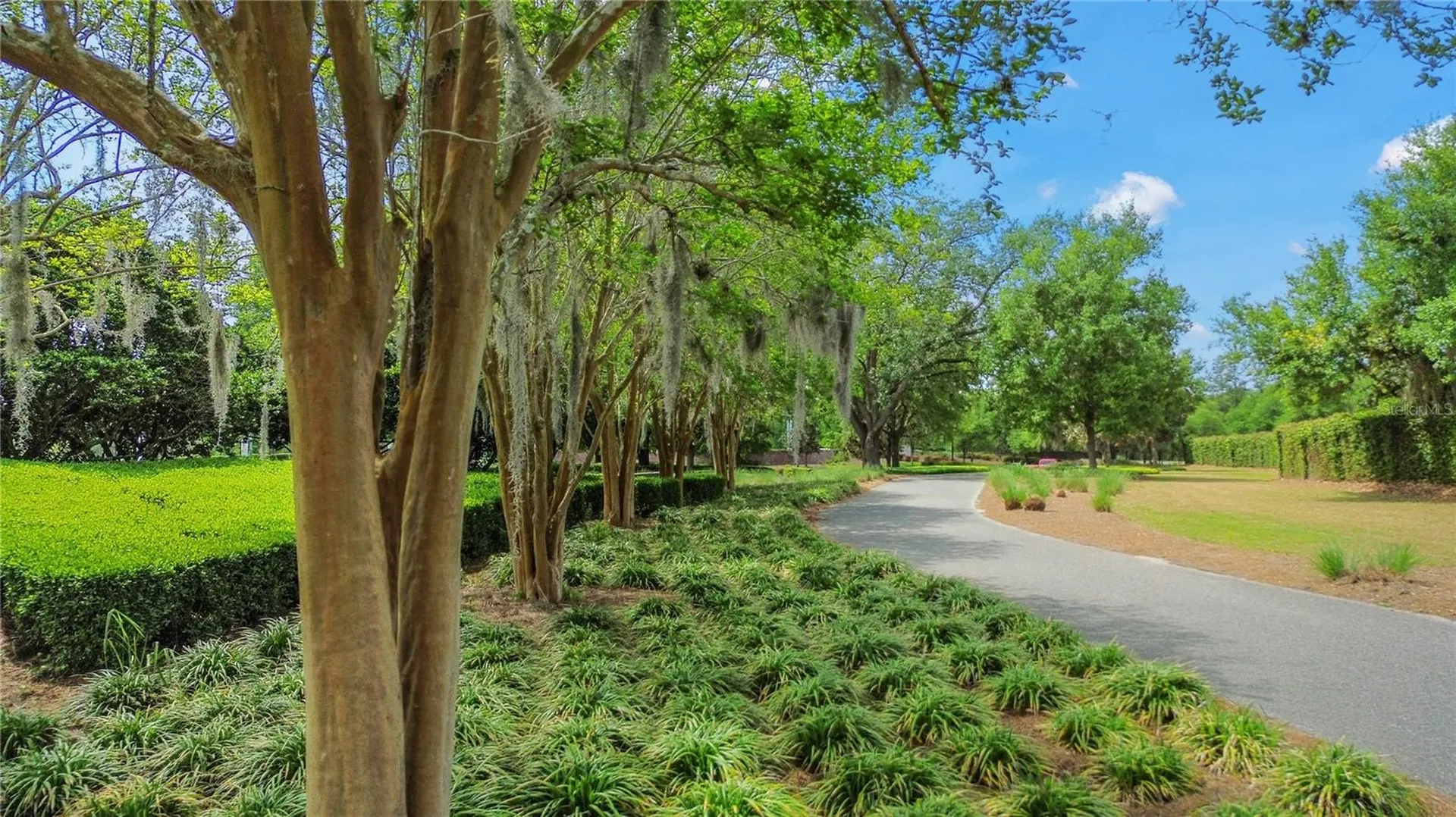 5312 NW 33rd Place Ocala FL 34482