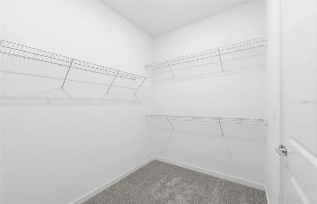 33425 Herds Hallow Way Wesley Chapel FL 33545