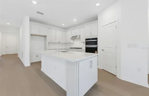 33425 Herds Hallow Way Wesley Chapel FL 33545