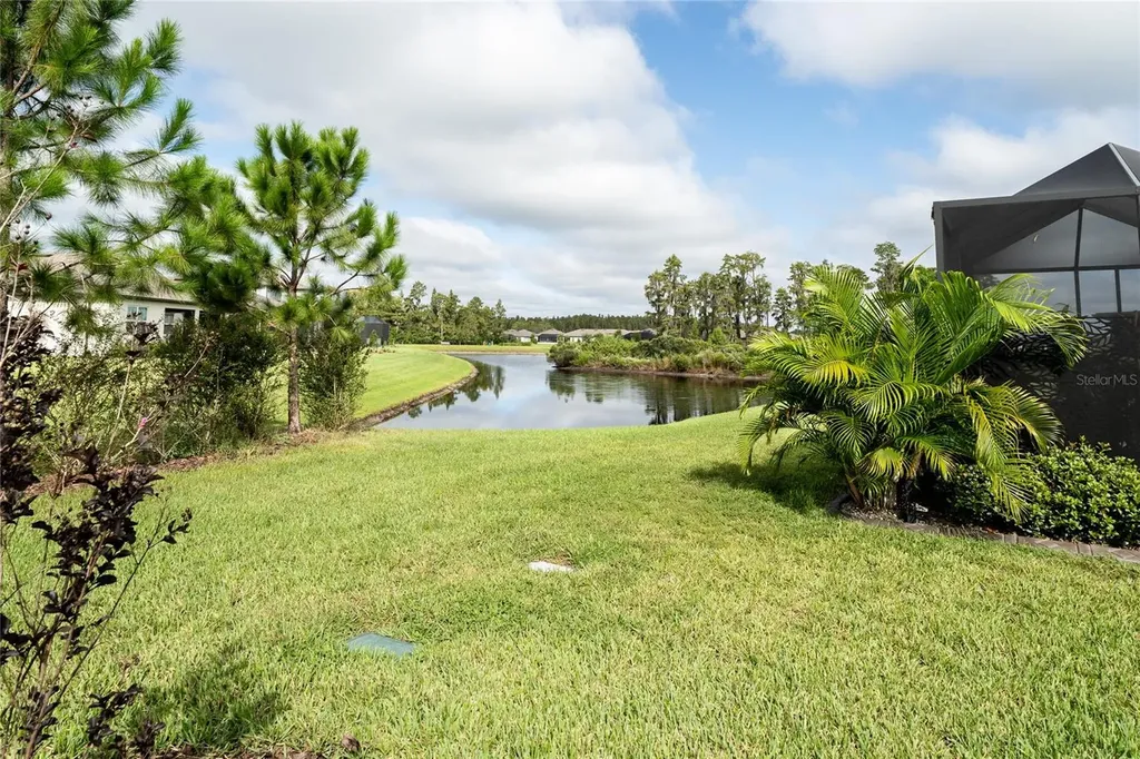 5597 Bay Tide Court Land O Lakes FL 34638