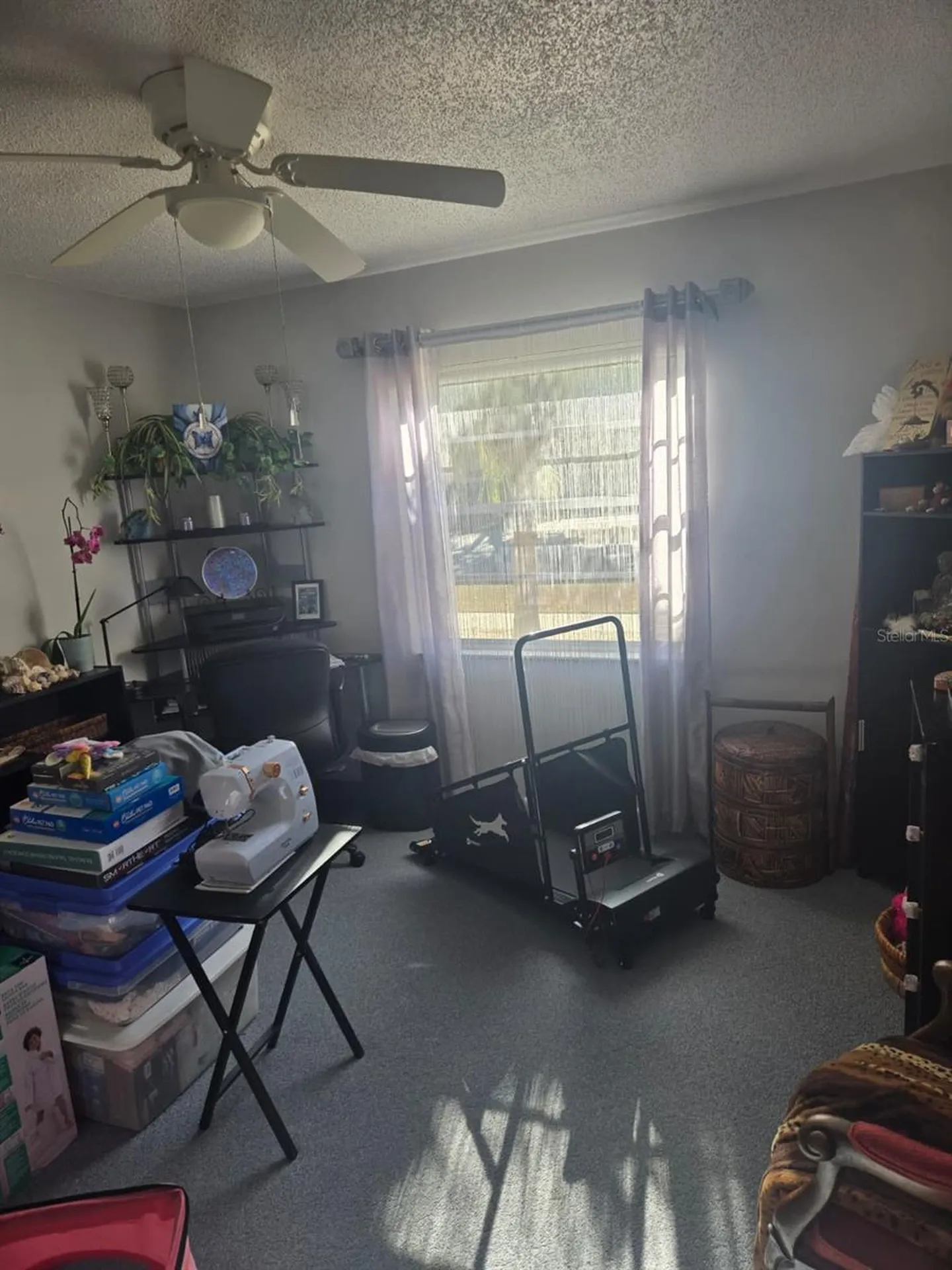 2 Fawn Lane Palm Coast FL 32137