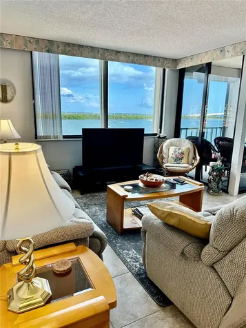 6295 Bahia Del Mar Circle St Petersburg FL 33715