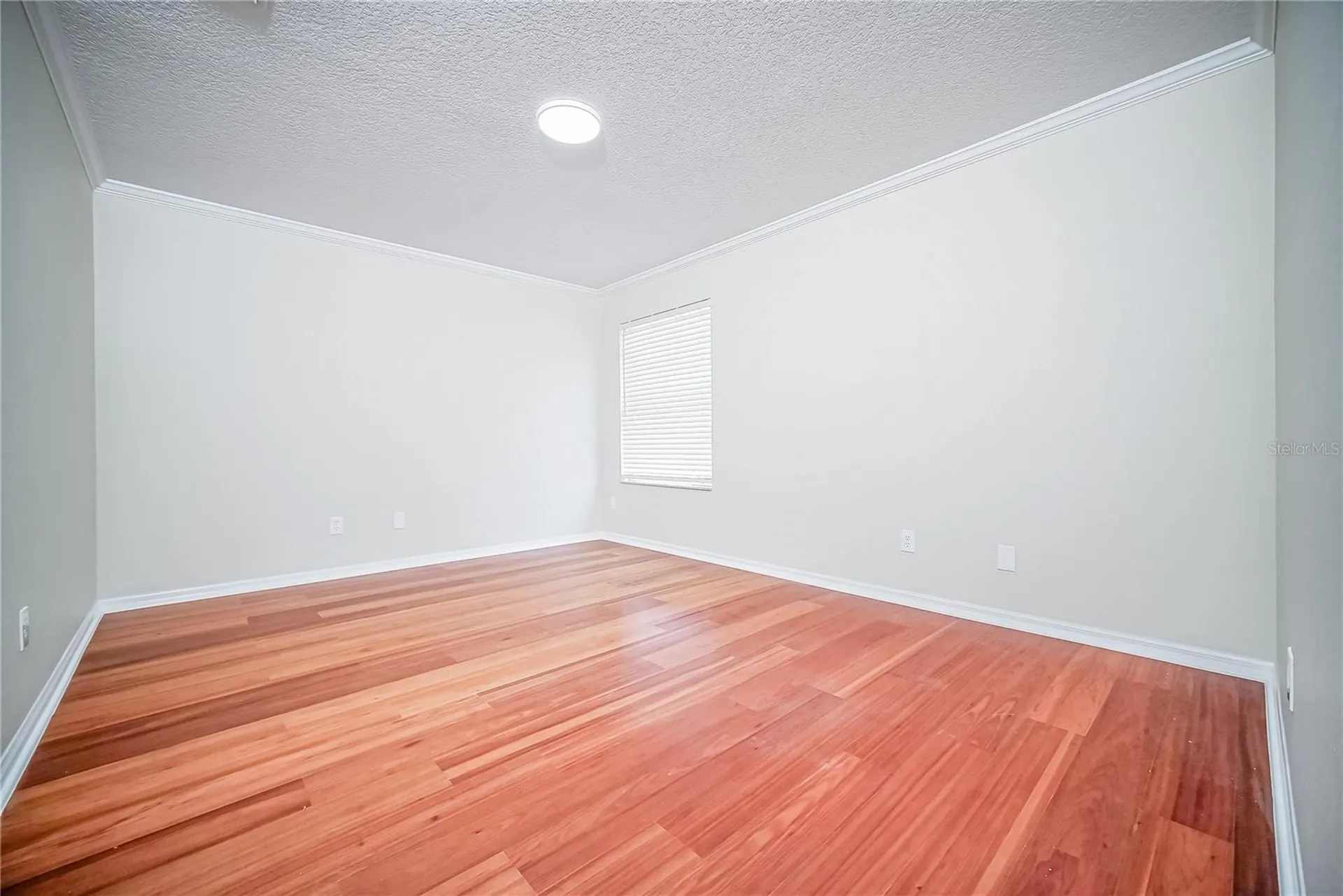 2509 Skif Drive Orlando FL 32812
