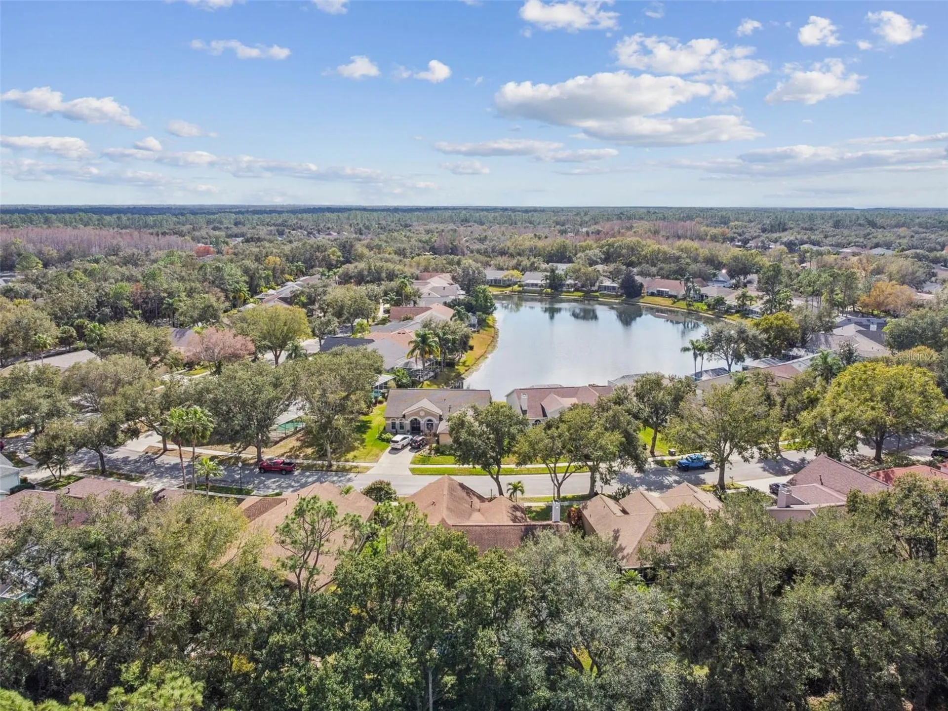 10122 Whisper Pointe Drive Tampa FL 33647