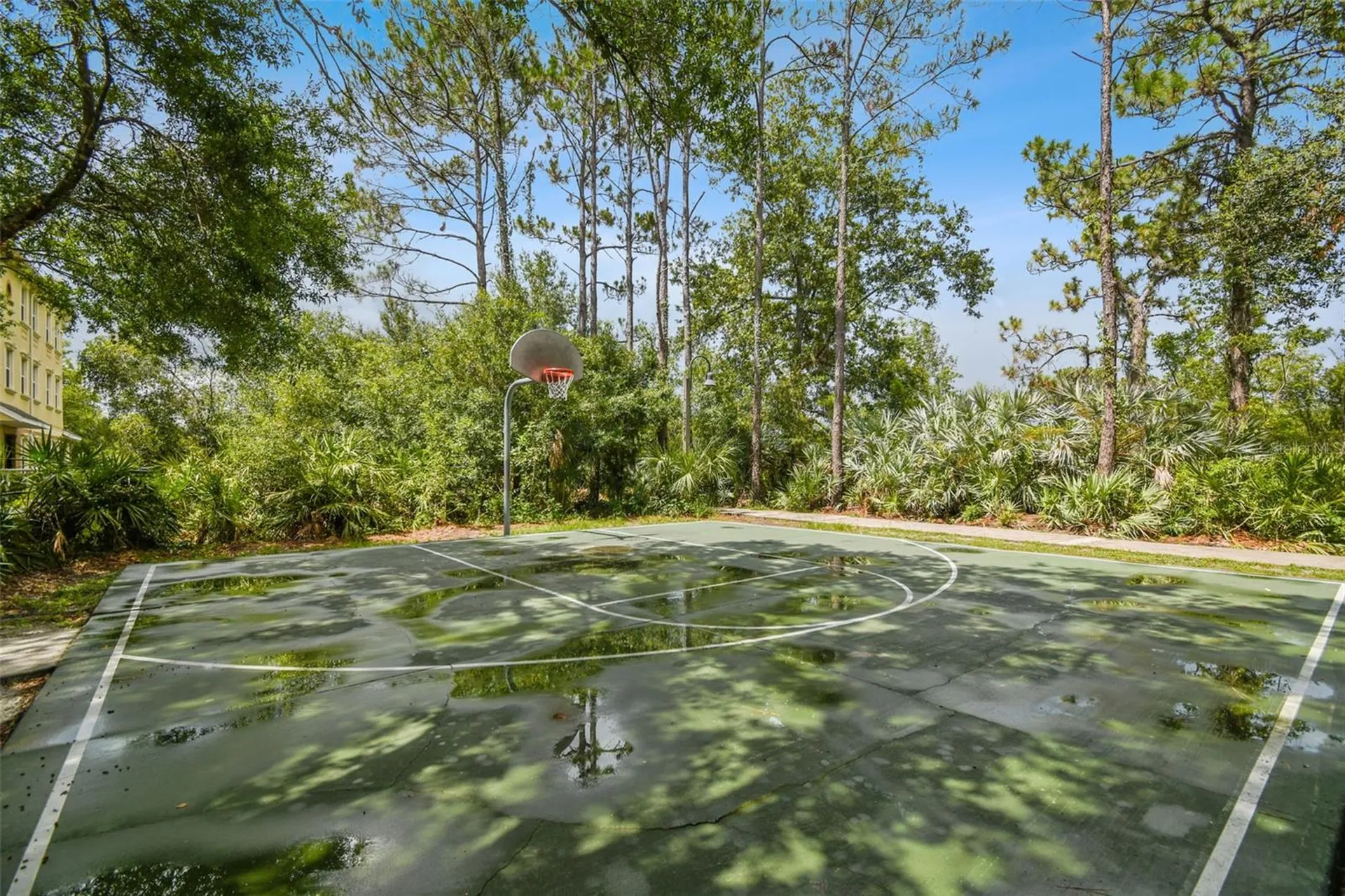 10122 Whisper Pointe Drive Tampa FL 33647
