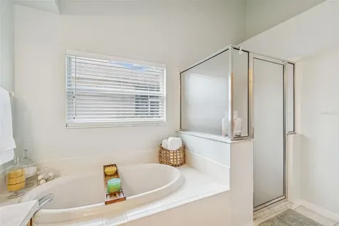 10122 Whisper Pointe Drive Tampa FL 33647