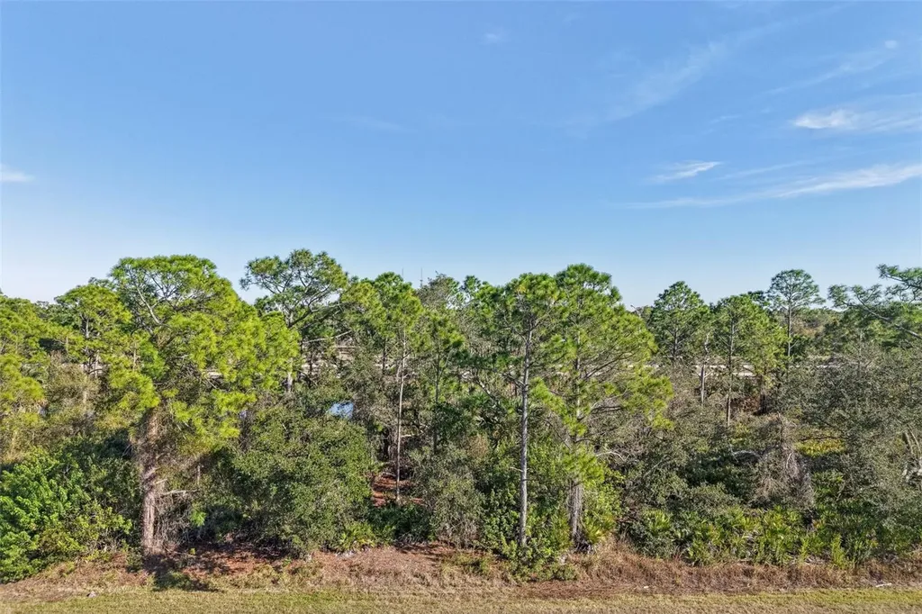 3124 Vessels Road Punta Gorda FL 33980
