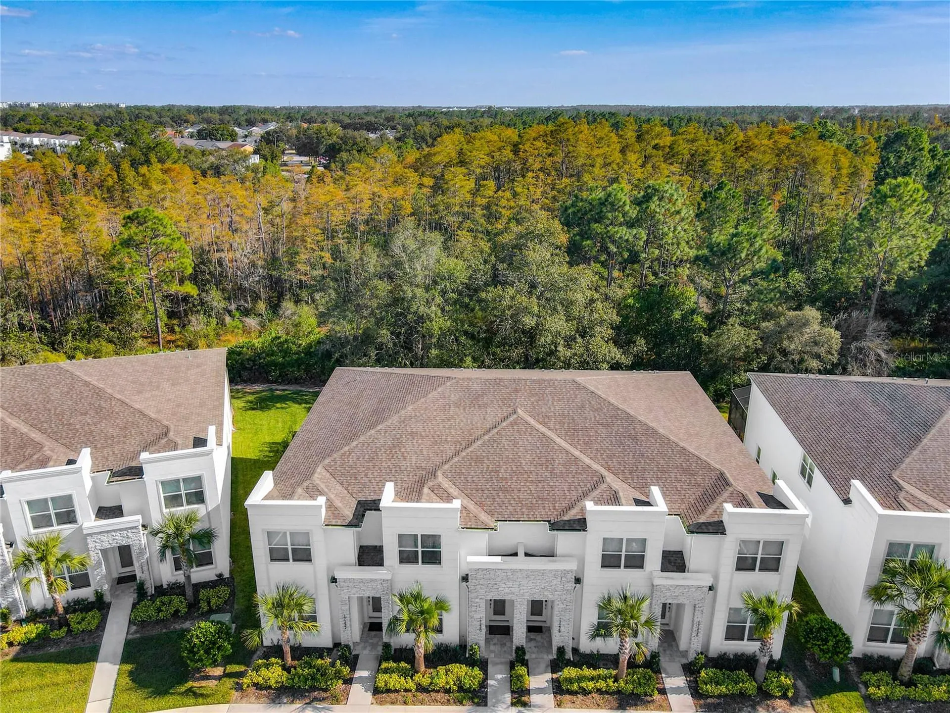 17230 Blessing Drive Clermont FL 34714