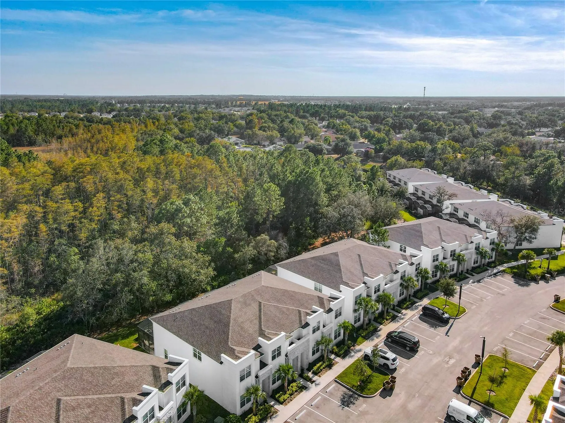 17230 Blessing Drive Clermont FL 34714