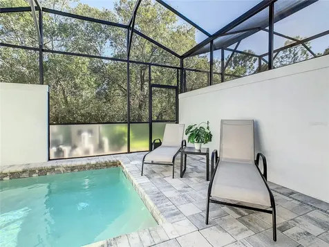 17230 Blessing Drive Clermont FL 34714