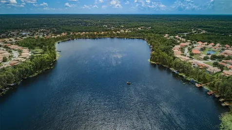 11108 Belle Haven Drive New Port Richey FL 34654