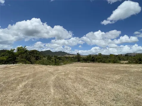 14 Los Llanos Ward Coamo PR 00769