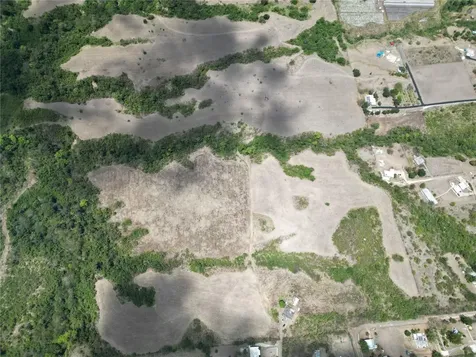 14 Los Llanos Ward Coamo PR 00769