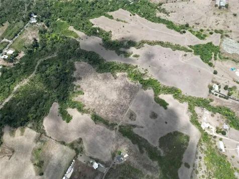 14 Los Llanos Ward Coamo PR 00769