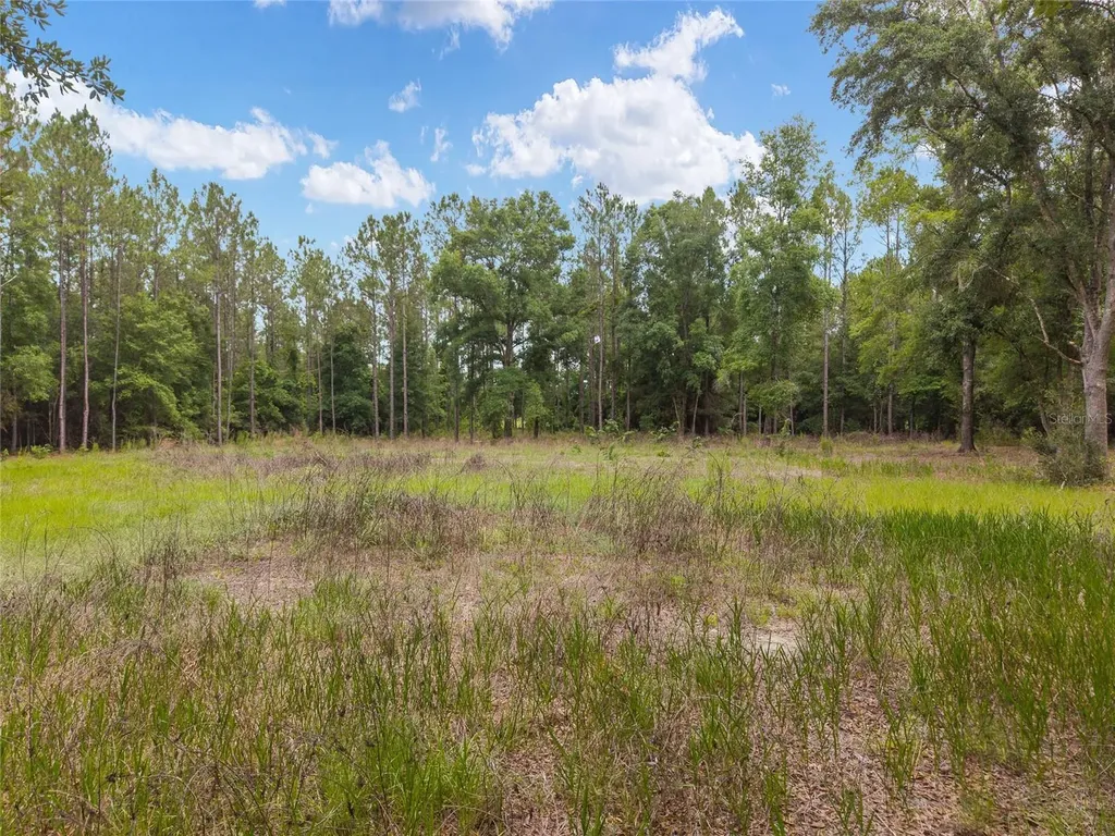 0 SW 234th Street Newberry FL 32669