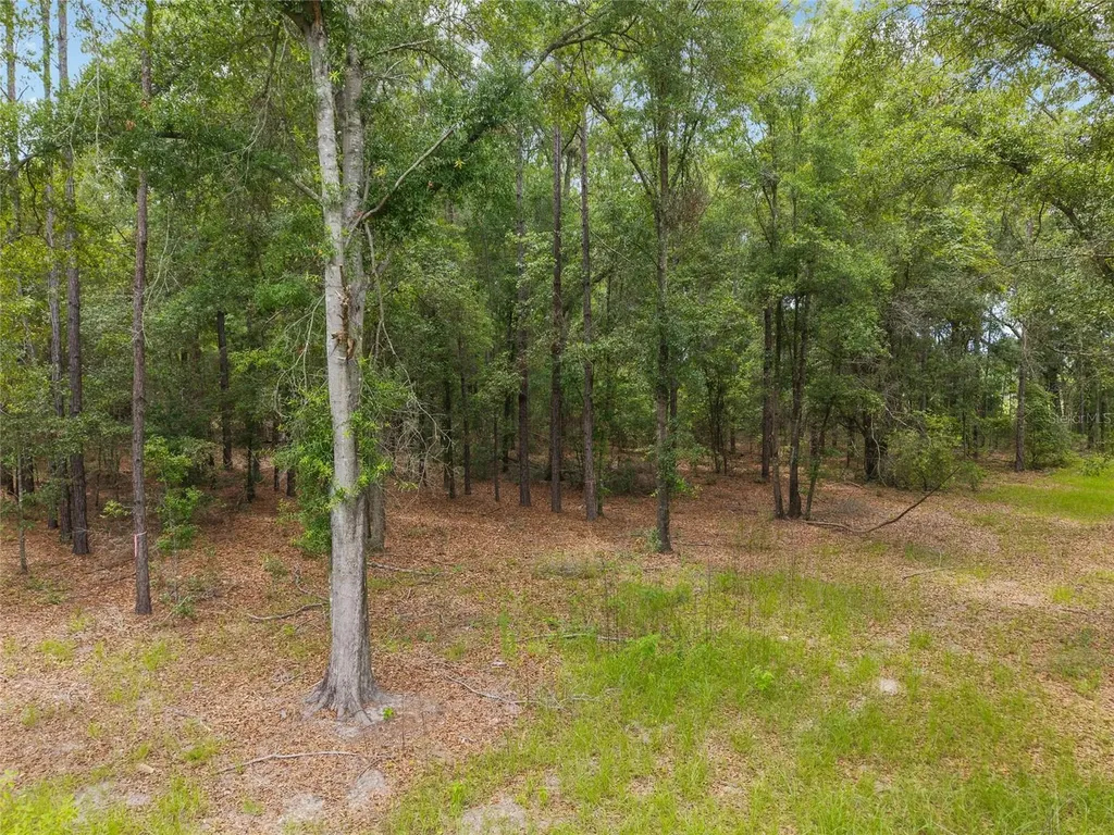0 SW 234th Street Newberry FL 32669