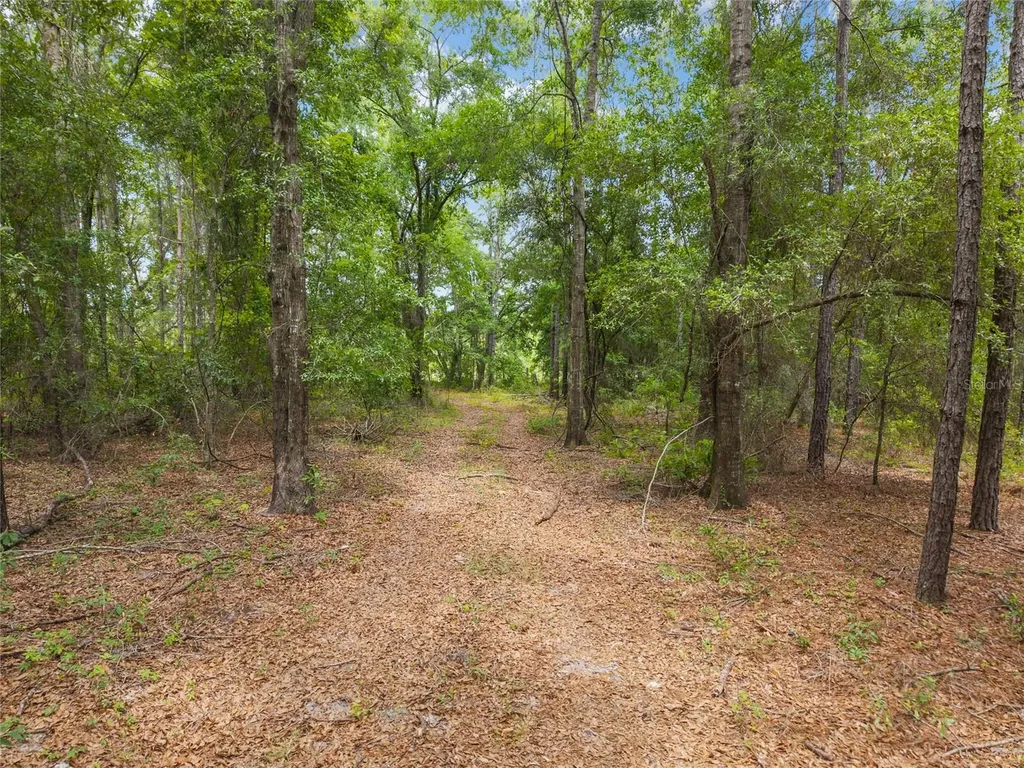 0 SW 234th Street Newberry FL 32669