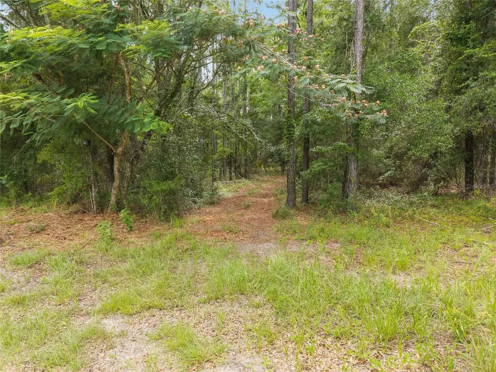 0 SW 234th Street Newberry FL 32669