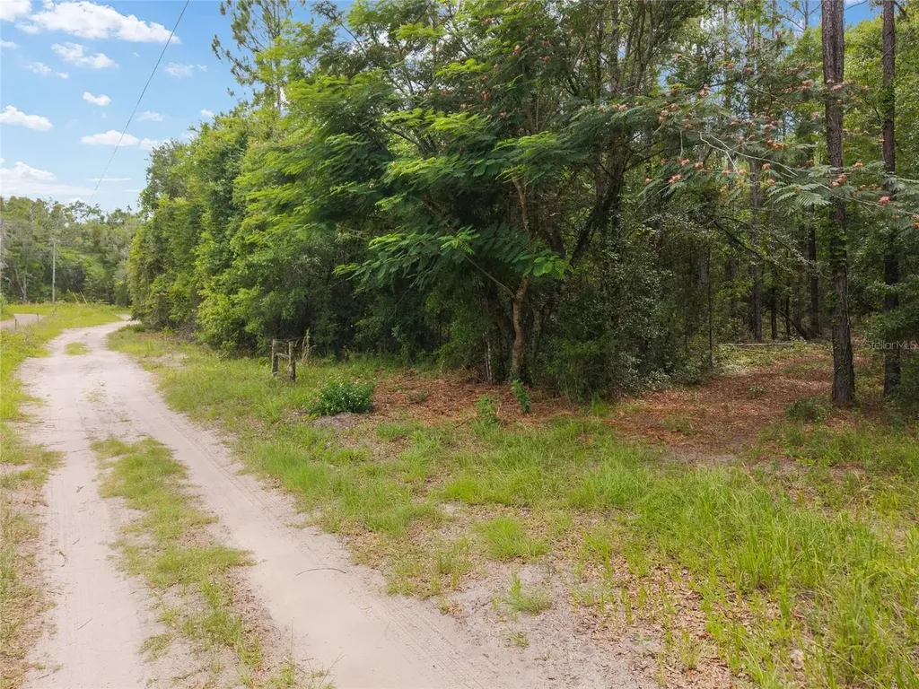 0 SW 234th Street Newberry FL 32669
