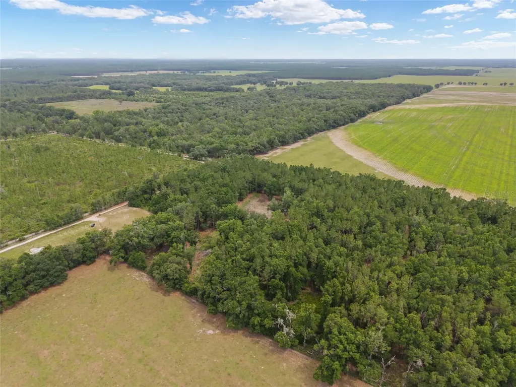 0 SW 234th Street Newberry FL 32669