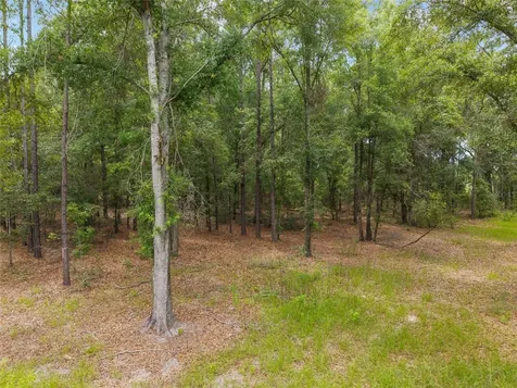 0 SW 234th Street Newberry FL 32669