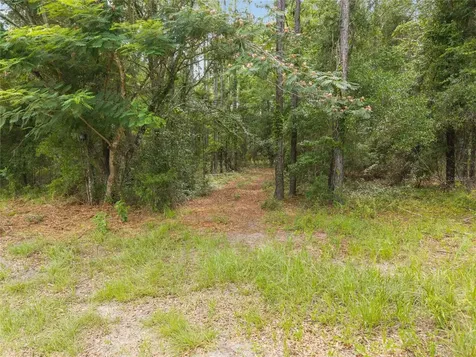 0 SW 234th Street Newberry FL 32669