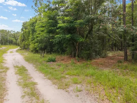 0 SW 234th Street Newberry FL 32669