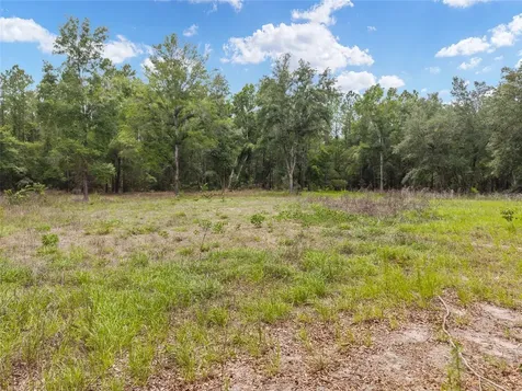 0 SW 234th Street Newberry FL 32669