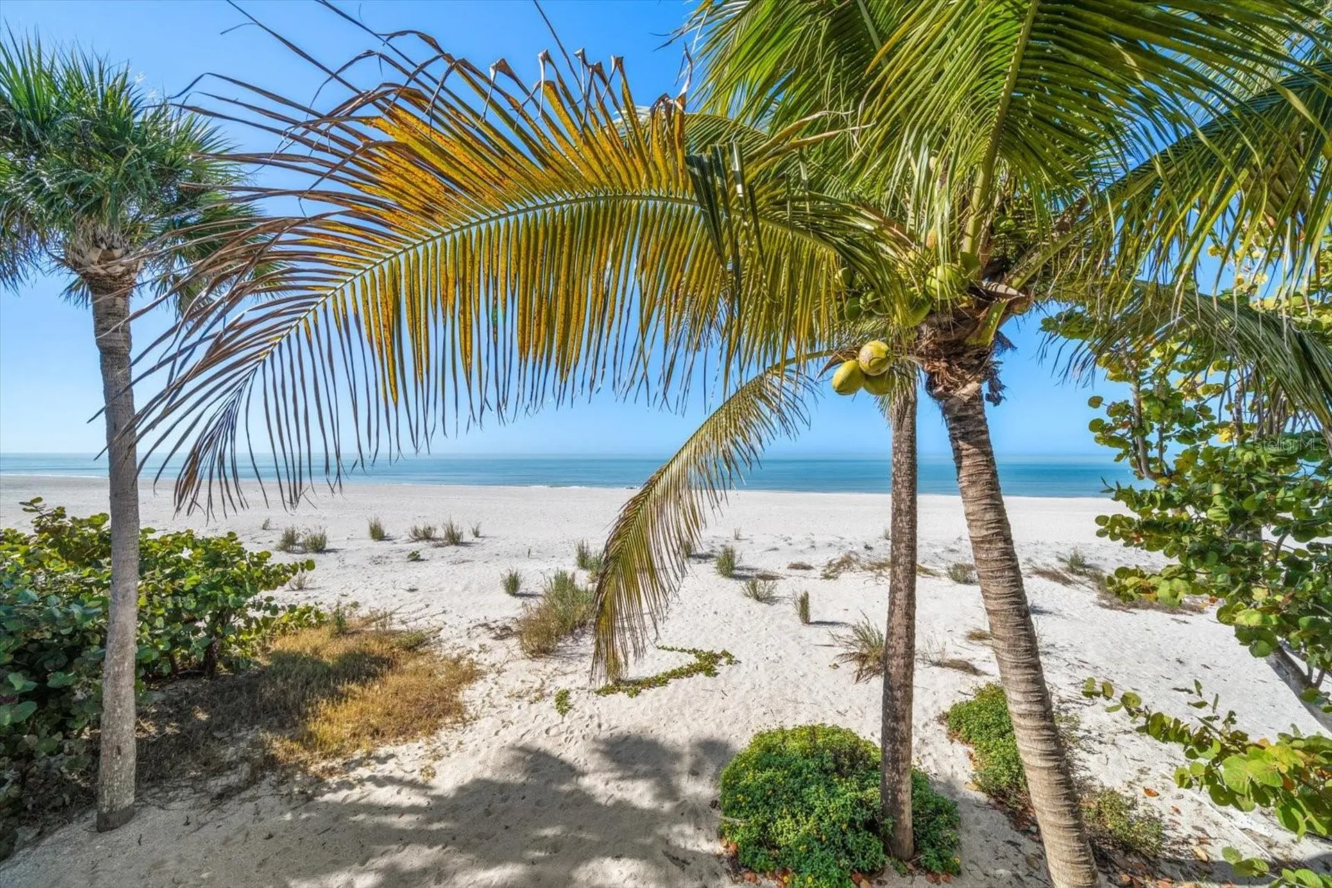8640 W Gulf Boulevard Treasure Island FL 33706