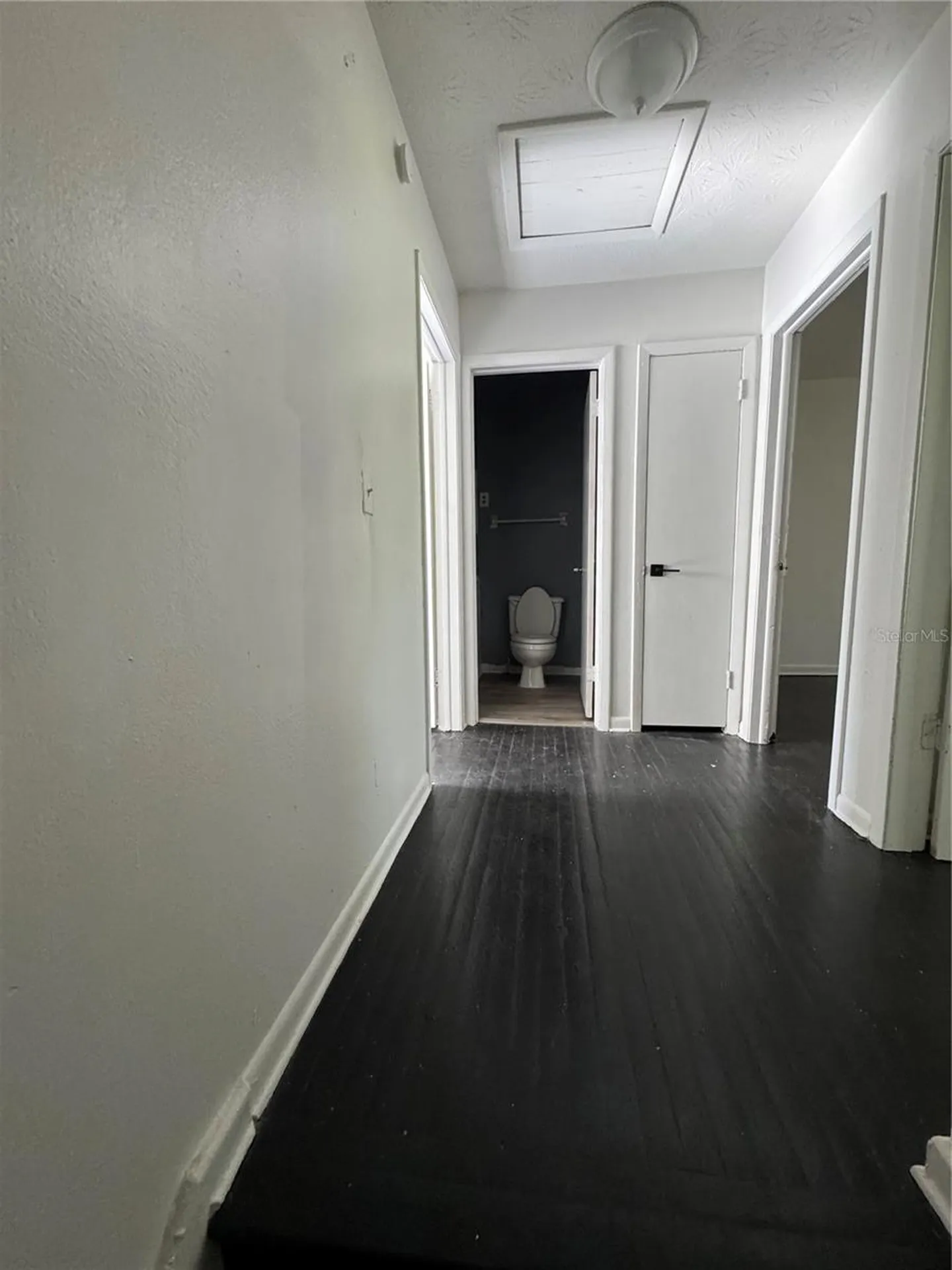 1131 Phelps Street Jacksonville FL 32206
