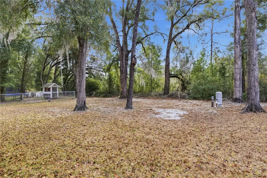 7090 SE 124th Lane Belleview FL 34420