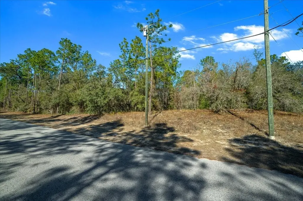 6055 W Ponderosa Place Beverly Hills FL 34465